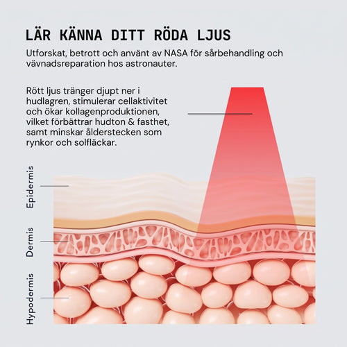 Halia rödljusterapi enhet | 4-in-1 Rödljust, EMS, Soniska vibrationer & Värmestav